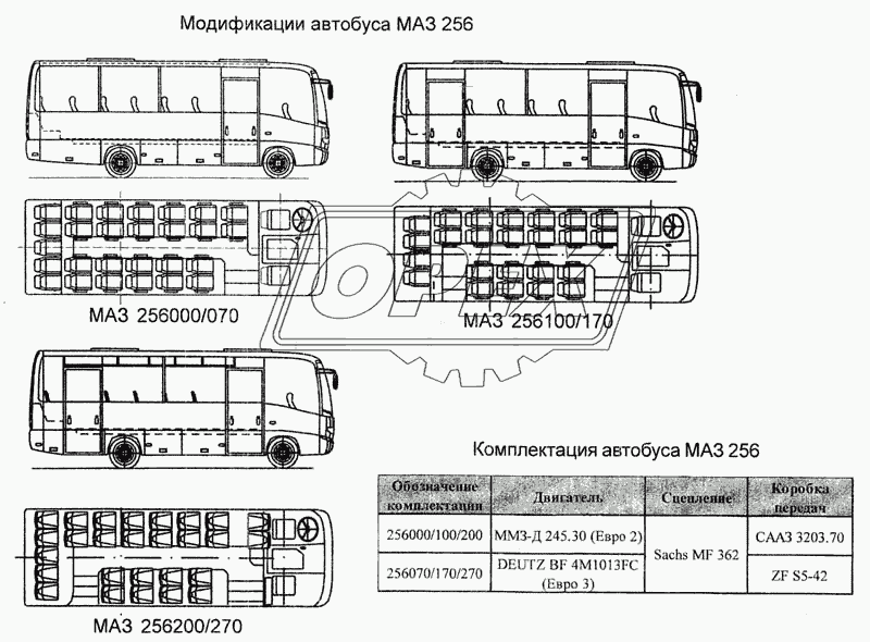 Модификации автобуса МАЗ 256. Комплектация