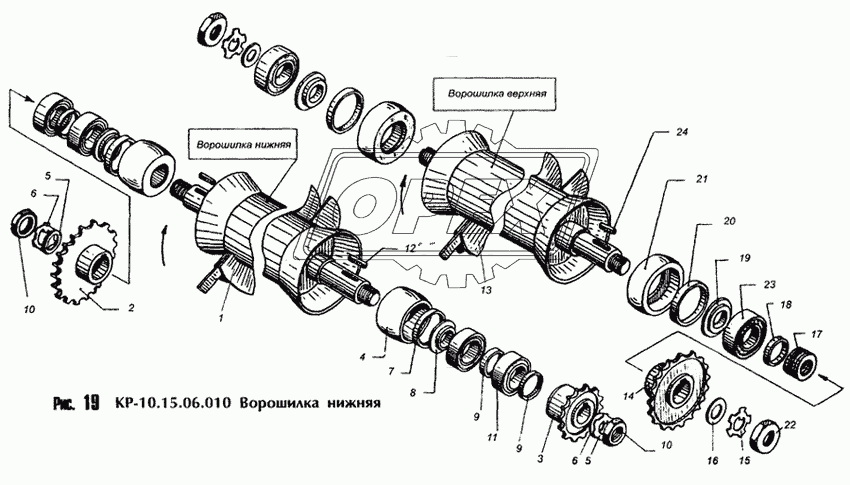 Ворошилка нижняя