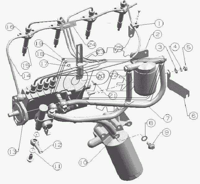 Fuel Pipes Assembly