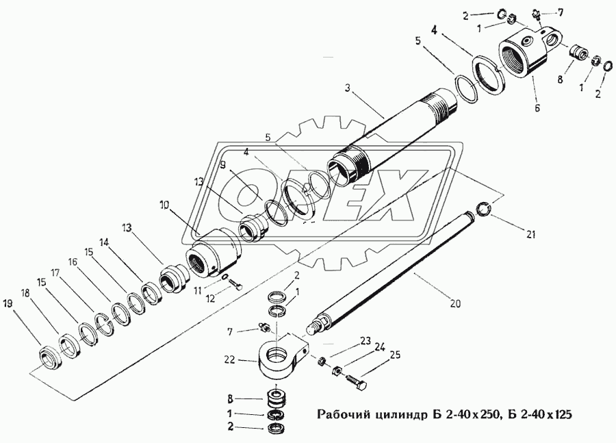 Рабочий цилиндр Б 2-40х250, Б 2-40х125