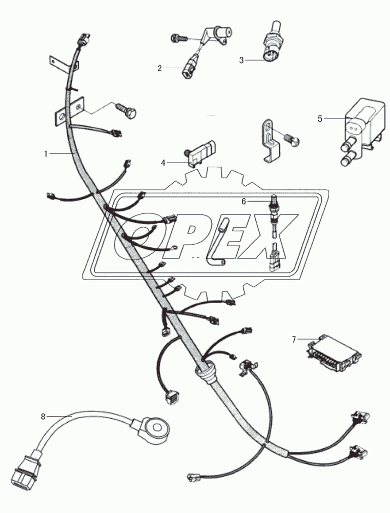 Electric injection gasoline engine electrical system