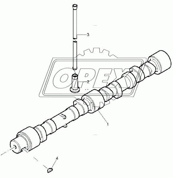 TIMING GEAR & CAM SHAFT, ENGINE 1104C-44T, RG38101