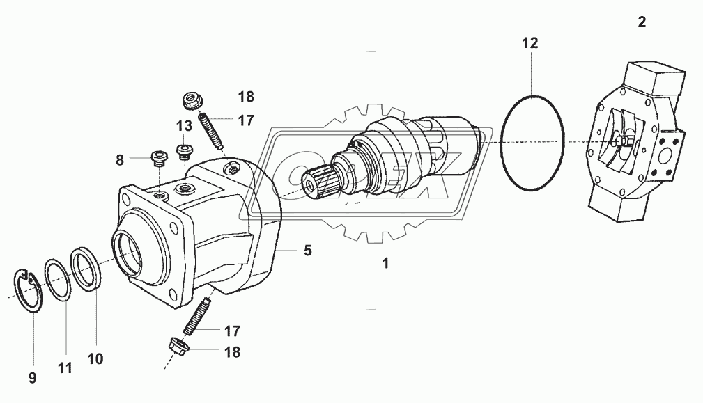 Гидромотор/Variable displacement motor 1