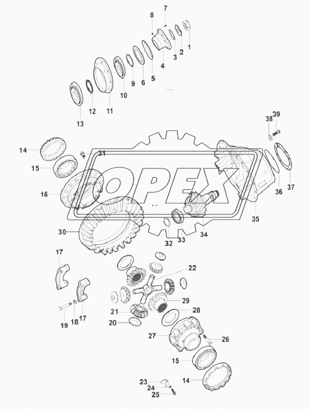 MAIN REDUCER AND BEVEL GEAR DIFFERENTIAL ASSY