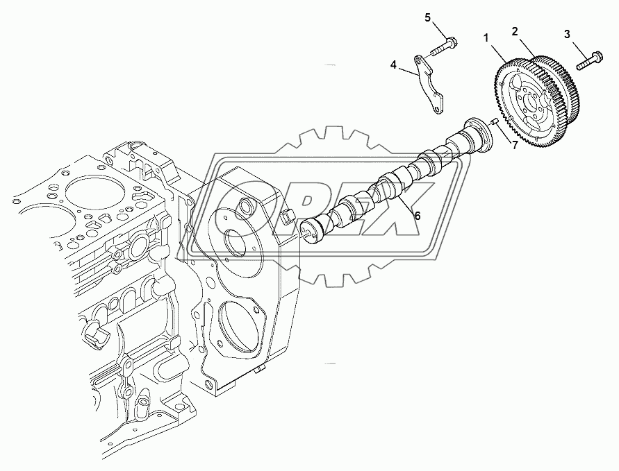 CAMSHAFT AND DRIVING GEAR