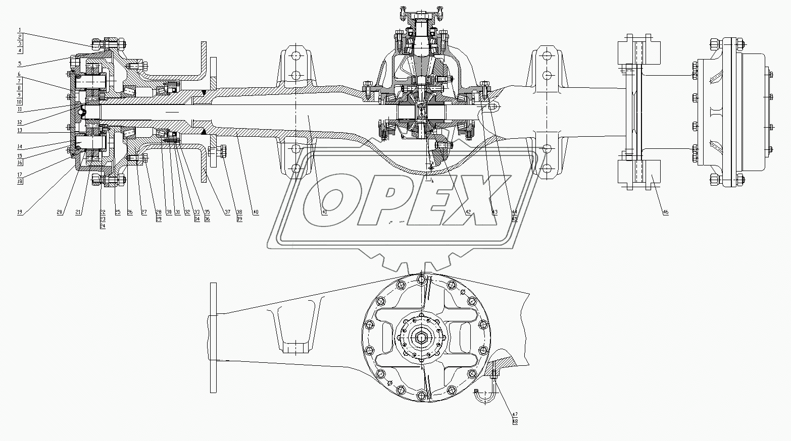 Rear Axle Assembly