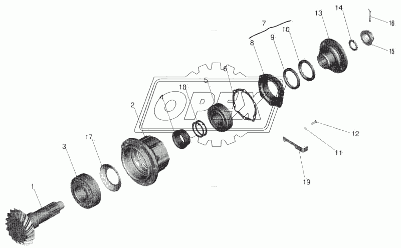 Редуктор заднего моста. Шестерня ведущая