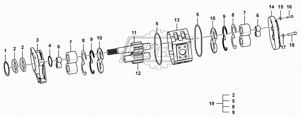 Gear pump (43272)