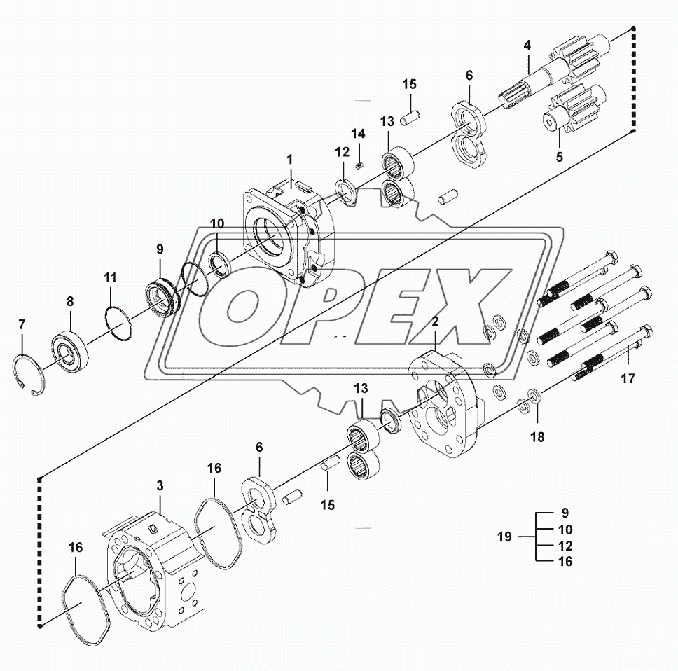 Gear pump (43803)