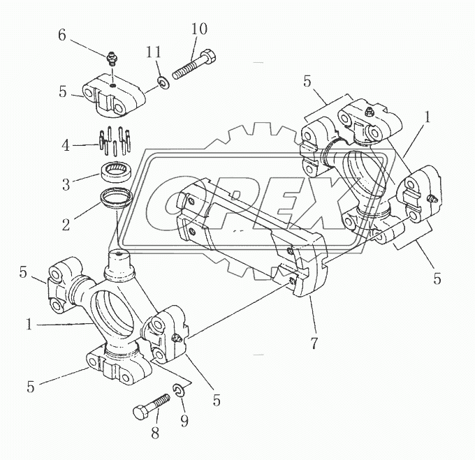 UNIVERSAL JOINT