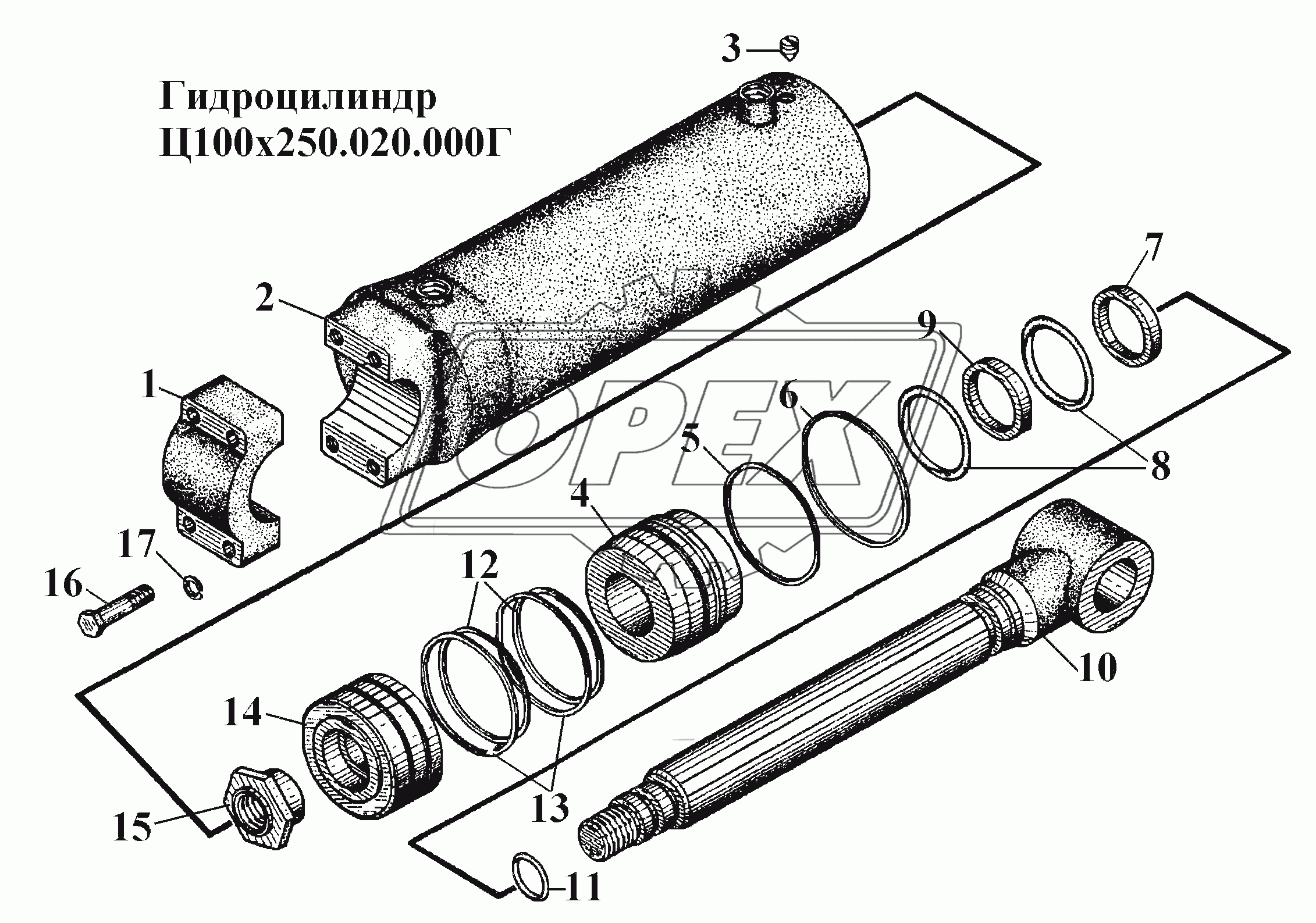 Гидроцилиндр Ц100х250.020.000Г