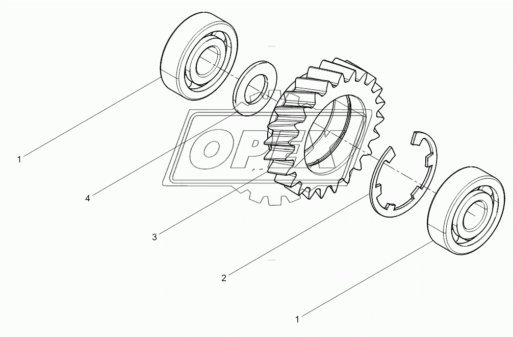 Oil Pump Idle Gear Assembly