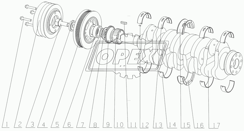 G0829-1005000 Crankshaft Vibration Damper Assembly